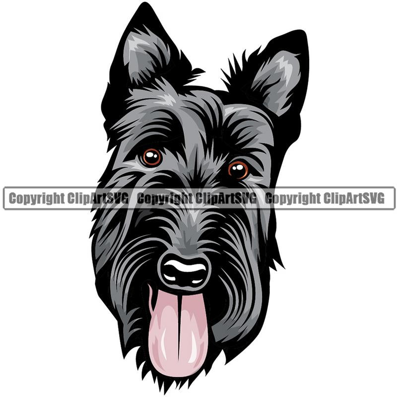 Scottish Terrier Dog Breed Head Color ClipArt SVG