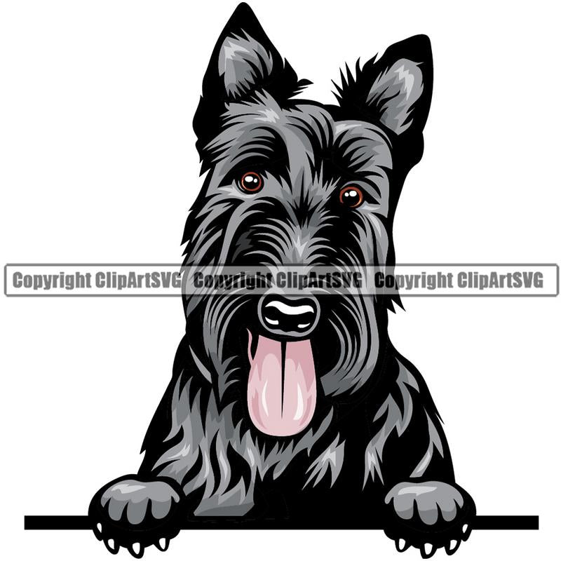 Scottish Terrier Dog Breed Peeking Color ClipArt SVG