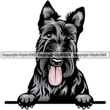 Scottish Terrier Dog Breed Peeking Color ClipArt SVG