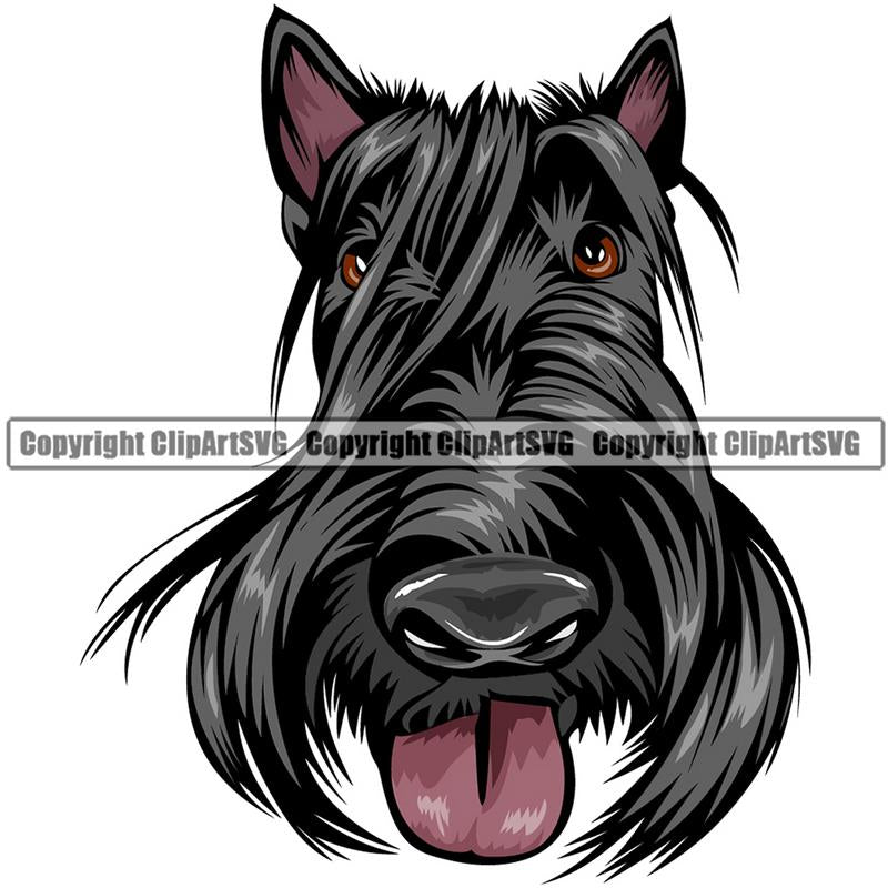 Scottish Terrier Dog Breed Head Color ClipArt SVG
