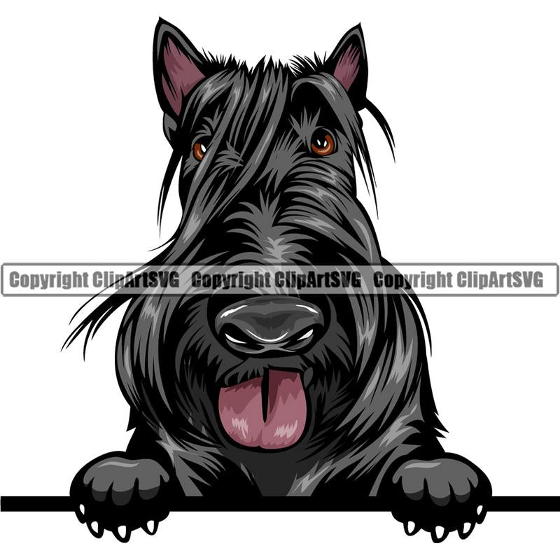 Scottish Terrier Dog Breed Peeking Color ClipArt SVG