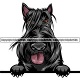 Scottish Terrier Dog Breed Peeking Color ClipArt SVG