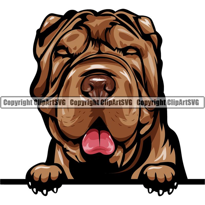 Shar Pei Dog Breed Peeking Color ClipArt SVG