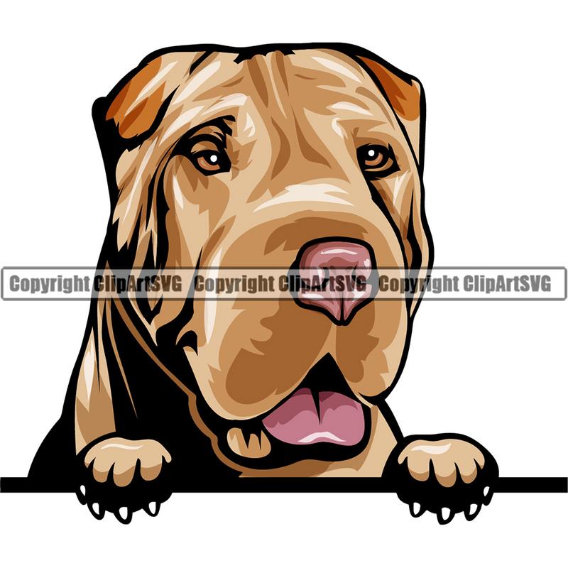 Shar Pei Dog Breed Peeking Color ClipArt SVG