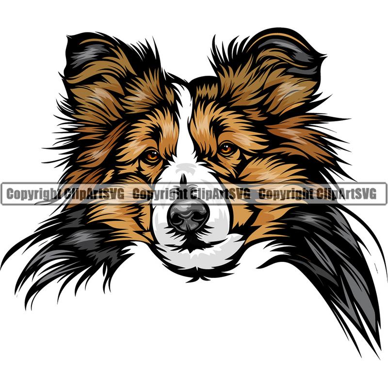 Shetland Sheepdog Dog Breed Head Color ClipArt SVG