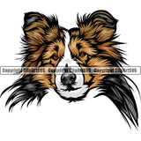 Shetland Sheepdog Dog Breed Head Color ClipArt SVG