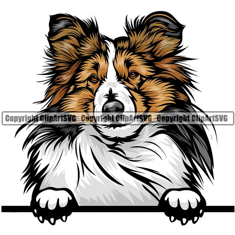 Shetland Sheepdog Dog Breed Peeking Color ClipArt SVG