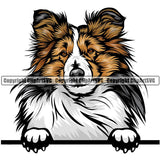 Shetland Sheepdog Dog Breed Peeking Color ClipArt SVG