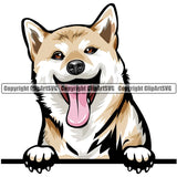 Shiba Inu Dog Breed Peeking Color ClipArt SVG