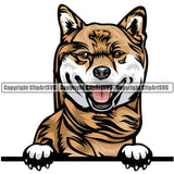 Shiba Inu Dog Breed Peeking Color ClipArt SVG