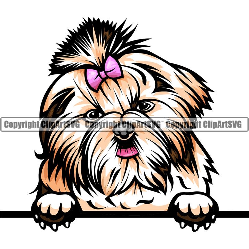 Shih Tzu Dog Breed Peeking Color ClipArt SVG