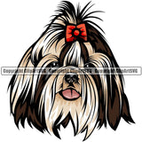 Shih Tzu Dog Breed Head Color ClipArt SVG