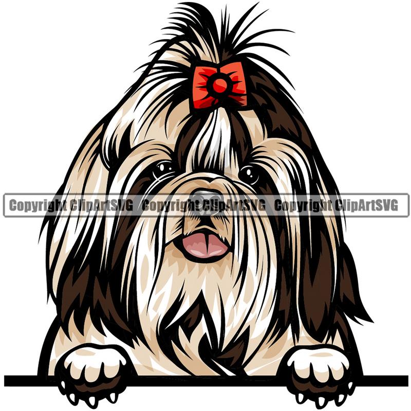 Shih Tzu Dog Breed Peeking Color ClipArt SVG