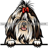 Shih Tzu Dog Breed Peeking Color ClipArt SVG