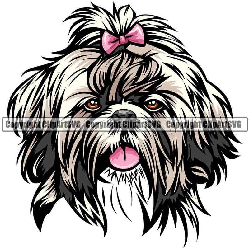 Shih Tzu Dog Breed Head Color ClipArt SVG