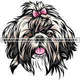 Shih Tzu Dog Breed Head Color ClipArt SVG