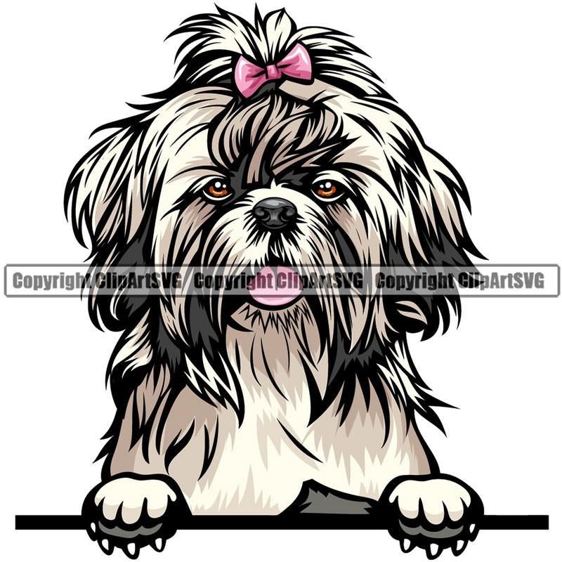 Shih Tzu Dog Breed Peeking Color ClipArt SVG