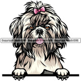 Shih Tzu Dog Breed Peeking Color ClipArt SVG