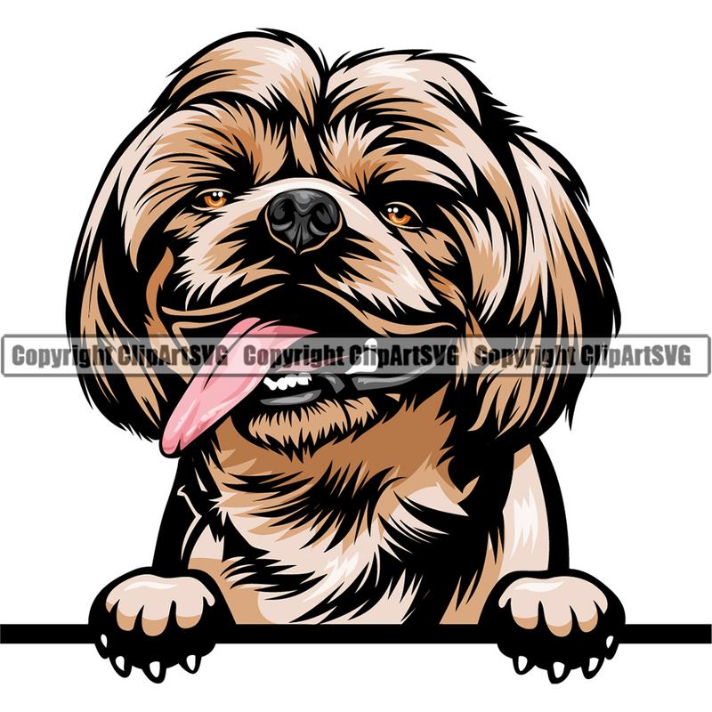 Shih Tzu Dog Breed Peeking Color ClipArt SVG