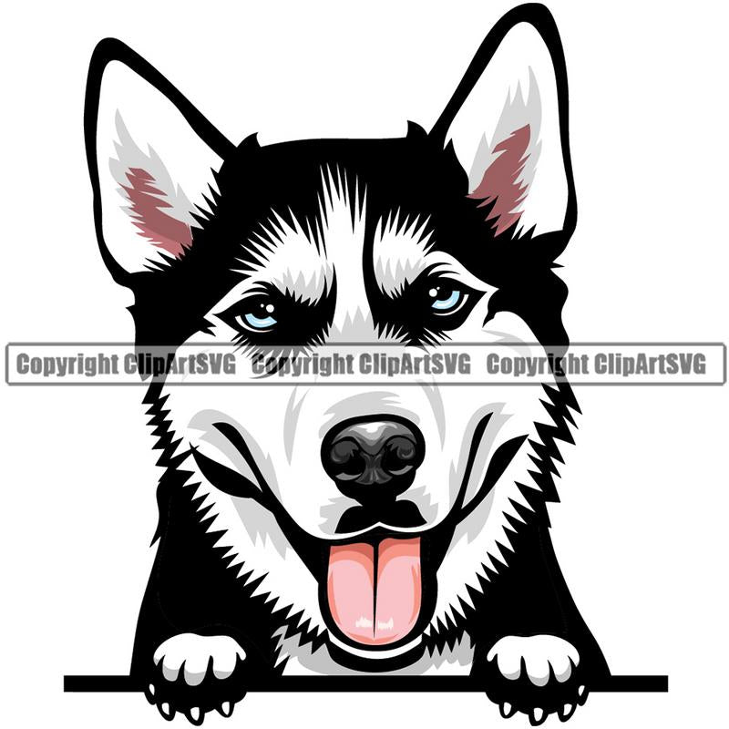 Siberian Husky Dog Breed Peeking Color ClipArt SVG