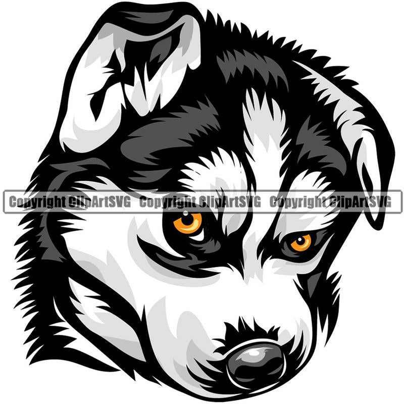 Siberian Husky Dog Breed Head Color ClipArt SVG