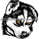 Siberian Husky Dog Breed Head Color ClipArt SVG