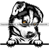 Siberian Husky Dog Breed Peeking Color ClipArt SVG