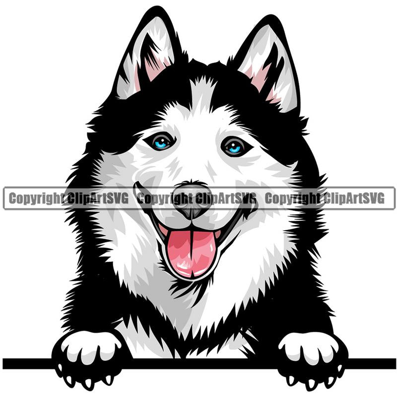 Siberian Husky Dog Breed Peeking Color ClipArt SVG