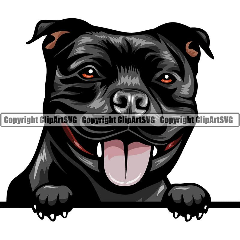 Stafforshire Bull Terrier Dog Breed Peeking Color ClipArt SVG