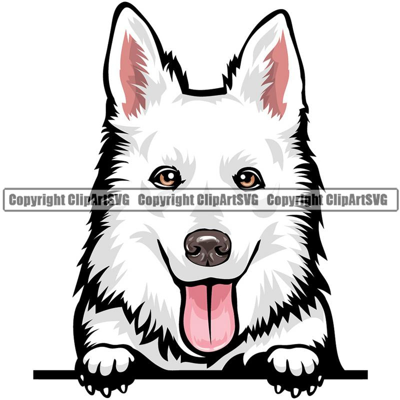 Swiss Shepherd Dog Breed Peeking Color ClipArt SVG