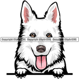 Swiss Shepherd Dog Breed Peeking Color ClipArt SVG