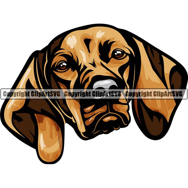 Vizsla Dog Breed Head Color ClipArt SVG