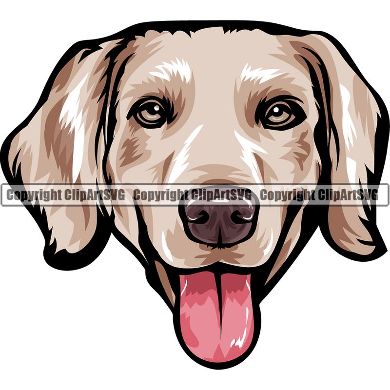 Weimaraner Dog Breed Head Color ClipArt SVG