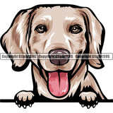 Weimaraner Dog Breed Peeking Color ClipArt SVG