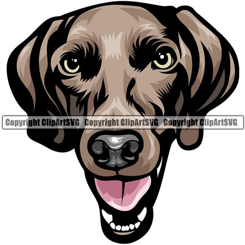 Weimaraner Dog Breed Head Color ClipArt SVG