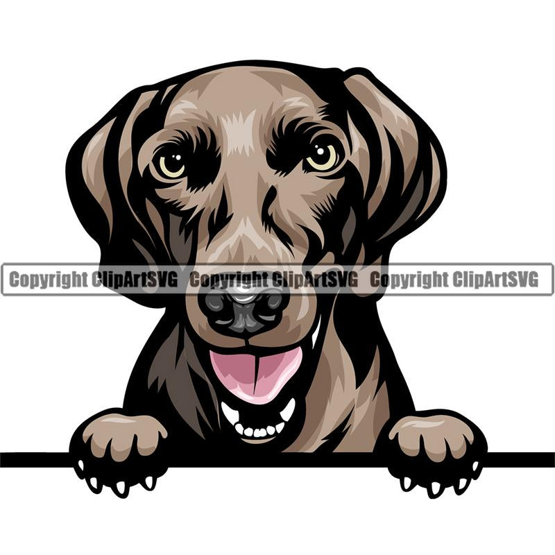 Weinemier Dog Breed Peeking Color ClipArt SVG