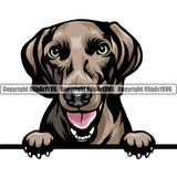 Weinemier Dog Breed Peeking Color ClipArt SVG