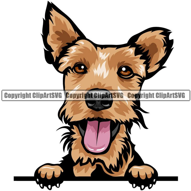 Welsh Terrier Dog Breed Peeking Color ClipArt SVG