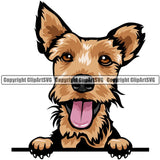 Welsh Terrier Dog Breed Peeking Color ClipArt SVG