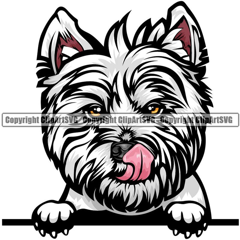 West Highland White Terrier Dog Breed Peeking Color ClipArt SVG