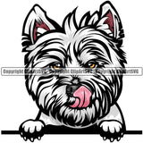 West Highland White Terrier Dog Breed Peeking Color ClipArt SVG