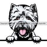 West Highland White Terrier Dog Breed Peeking Color ClipArt SVG