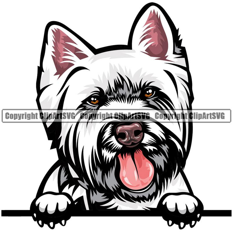 West Highland White Terrier Dog Breed Peeking Color ClipArt SVG