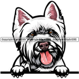 West Highland White Terrier Dog Breed Peeking Color ClipArt SVG