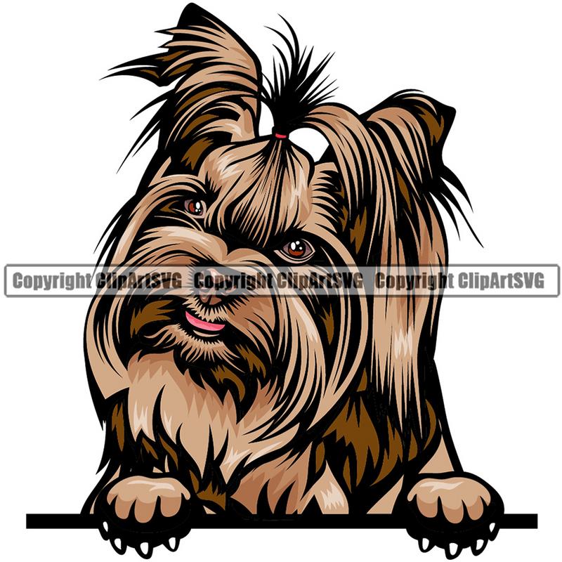 Yorkie  yhkm Dog Breed Peeking Color ClipArt SVG