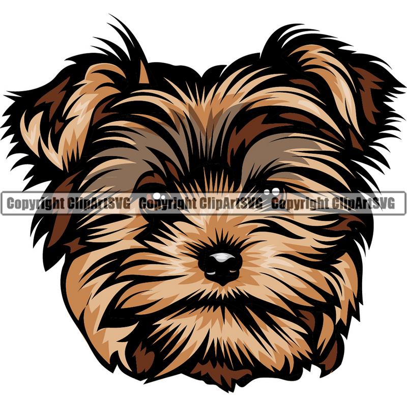 Yorkshire Terrier Yorkie Dog Breed Head Color ClipArt SVG