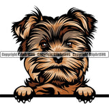 Yorkie  yhkmb Dog Breed Peeking Color ClipArt SVG