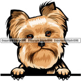 Yorkie Dog Breed Peeking Color ClipArt SVG