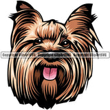 Yorkshire Terrier Yorkie Dog Breed Head Color ClipArt SVG