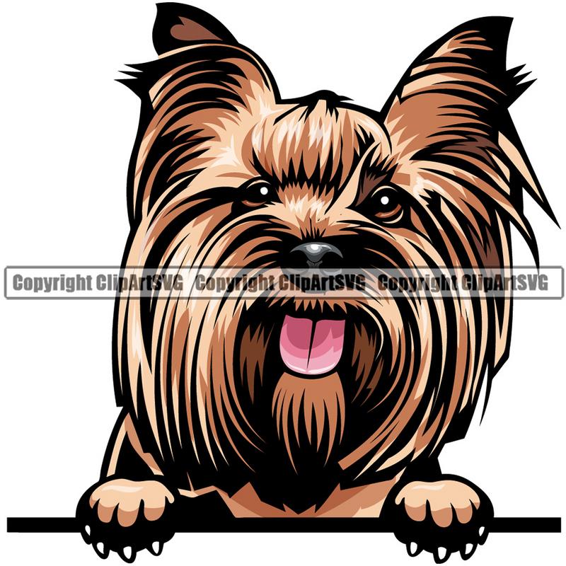 Yorkie Dog Breed Peeking Color ClipArt SVG